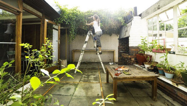 backyward_renovations_ladder501676354 (1)