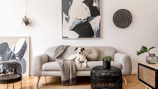 dog_stylish_living_room_1489795766 (1)