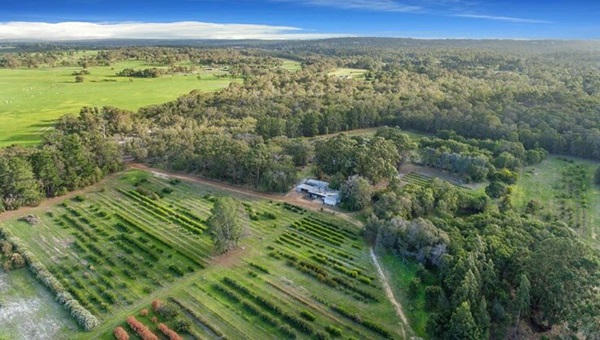 quindalup_736x414 (1)