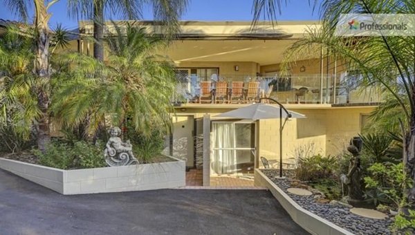 swan_view_736x414 (1)