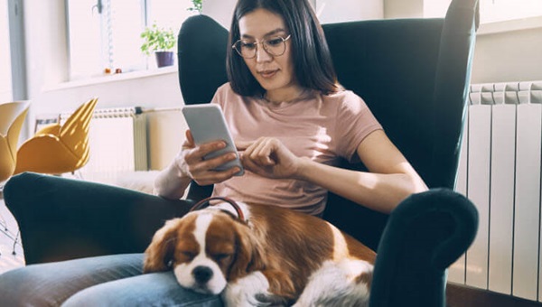 tips-for-standing-out-in-a-tight-rental-market (1)