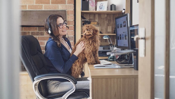 woman_dog_working_from_home_736x414