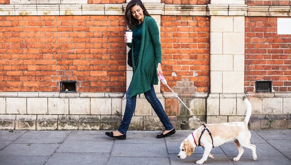 woman_walking_dog_coffee_736x414 (1)