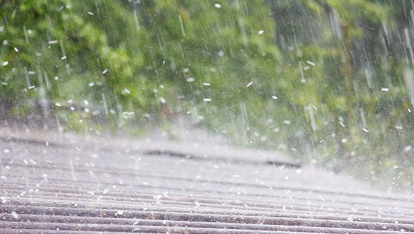 shutterstock_1044840481 - Copy (1)